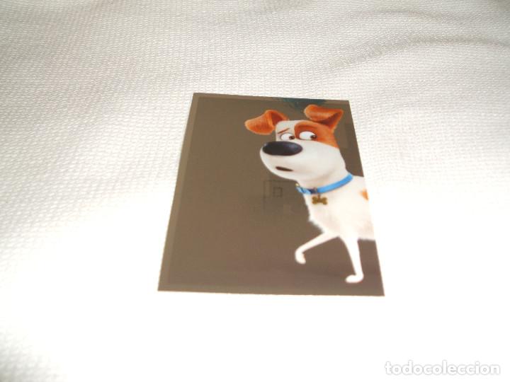 Coleccionismo cromos antiguos: Cromo n&ordm; 48 Mascotas Panini, a&ntilde;o 2016 - Foto 1
