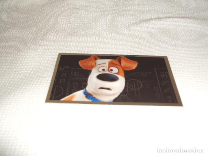 Coleccionismo cromos antiguos: Cromo n&ordm; 115 Mascotas Panini, a&ntilde;o 2016 - Foto 1