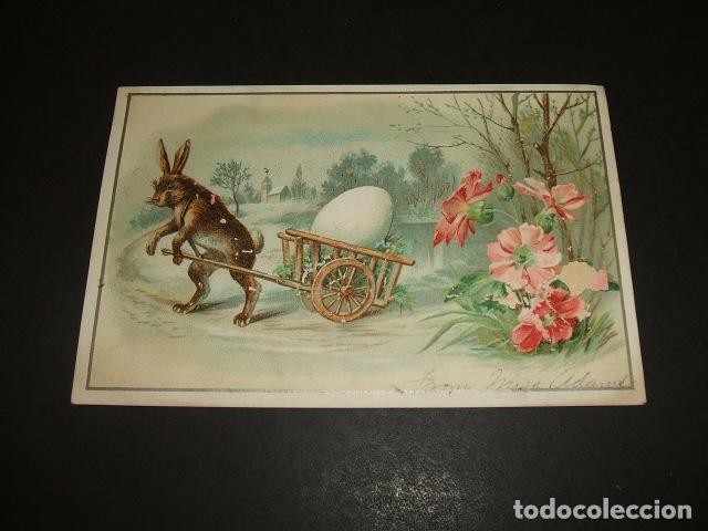 Coleccionismo cromos antiguos: CROMO SIGLO XIX CONEJO CON HUEVO - Foto 1