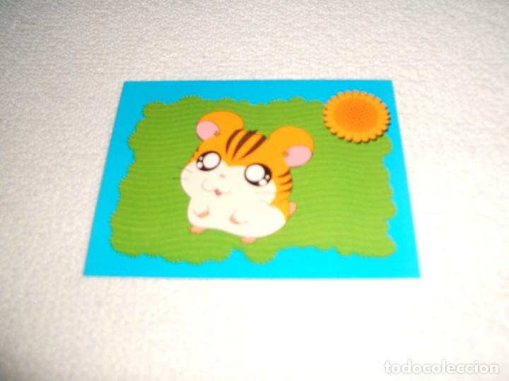 Coleccionismo cromos antiguos: Cromo n&ordm; 10 Hamtaro de Panini, a&ntilde;o 2004 - Foto 1