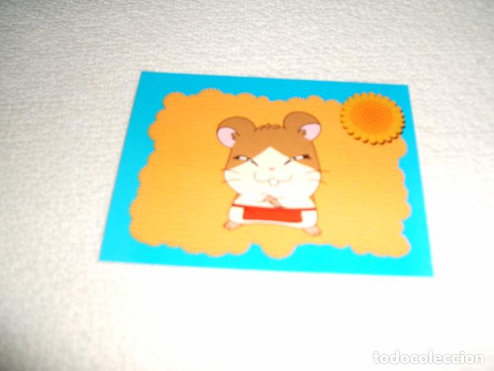 Coleccionismo cromos antiguos: Cromo n&ordm; 13 Hamtaro de Panini, a&ntilde;o 2004 - Foto 1