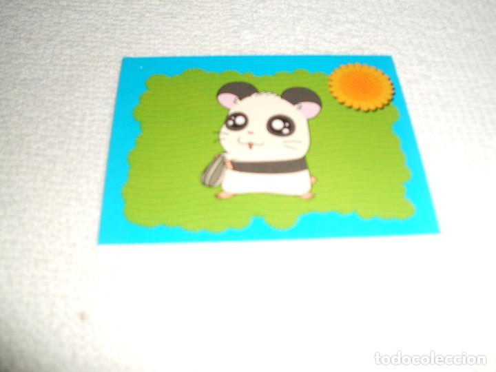 Coleccionismo cromos antiguos: Cromo n&ordm; 15 Hamtaro de Panini, a&ntilde;o 2004 - Foto 1