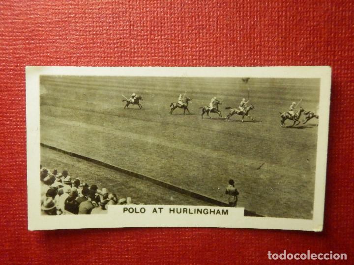 Colecionismo Cromos antigos: Fotografia - Homeland Events - N&ordm; 6 - Polo at Hurlingham  - W.D. & H.O. WILS BRISTOL & LONDON