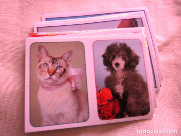 Coleccionismo Cromos antiguos: LOTE 22 CROMOS DEL ALBUM ANIMALITOS AUN MAS DIVERTIDOS. PANINI