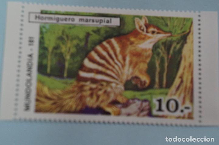 Coleccionismo Cromos antiguos: CROMO DE:HORMIGUERO MARSUPIAL,(SIN PEGAR),N&ordm; 181,DEL &Aacute;LBUM,MUNDOLANDIA