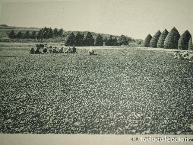 Sammeln alte Sammelbilder: GUARDAMAR ALICANTE HUECOGRABADO TIPO CROMO A&Ntilde;OS 40