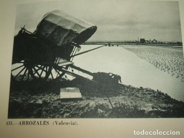 Collezionismo Figurine antiche: VALENCIA ARROZALES HUECOGRABADO TIPO CROMO A&Ntilde;OS 40
