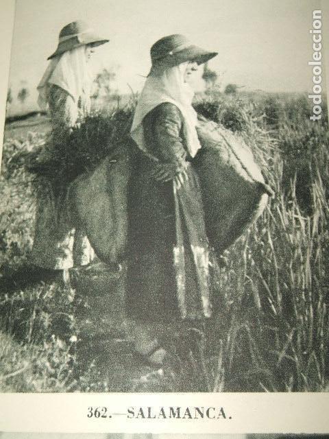 Sammeln alte Sammelbilder: SALAMANCA LABRADORAS TIPOS HUECOGRABADO TIPO CROMO A&Ntilde;OS 40