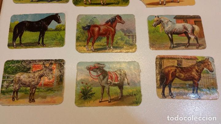 Coleccionismo cromos antiguos: cromos caballos, MANUEL RIVERO - Foto 2