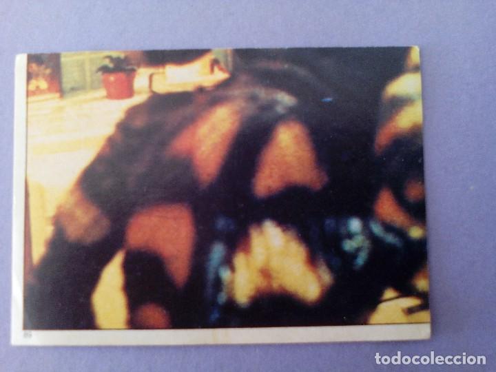 Coleccionismo cromos antiguos: cromo - gremlins  - n&ordm; 89 - figurini panini 1984 - Foto 1