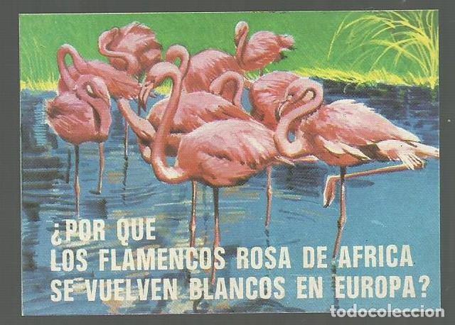 Collectable Antique Stickers: CROMO N&ordm; 58. ALBUM BIMBO EL PORQUE DE LAS COSAS N&ordm; 3. NUNCA PEGADO!