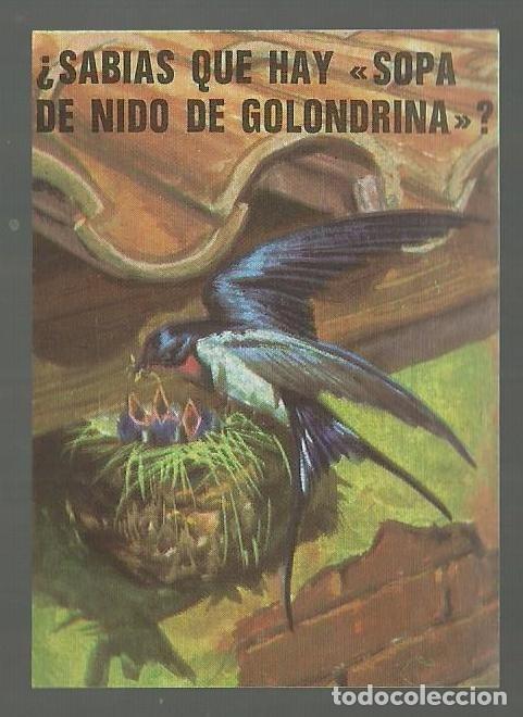 Collectable Antique Stickers: CROMO N&ordm; 203. ALBUM BIMBO EL PORQUE DE LAS COSAS N&ordm; 3. NUNCA PEGADO!