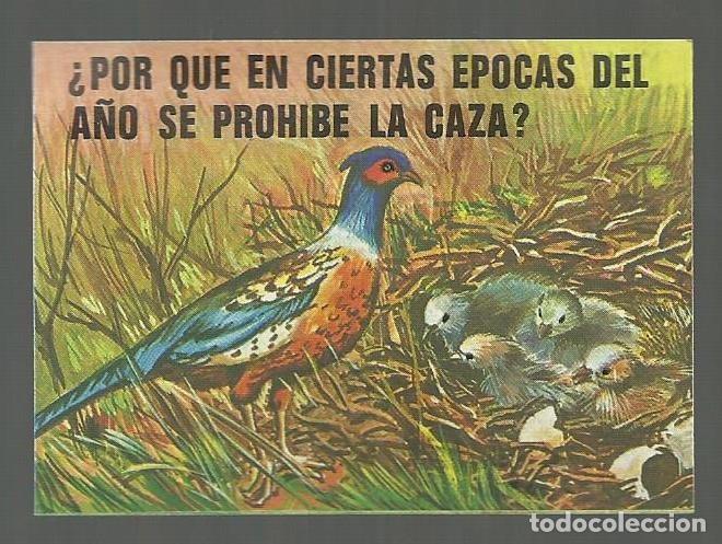 Collectable Antique Stickers: CROMO N&ordm; 14. ALBUM BIMBO EL PORQUE DE LAS COSAS N&ordm; 3. NUNCA PEGADO!