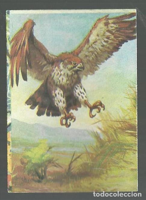 Collectable Antique Stickers: CROMO N&ordm; 63 ALBUM BIMBO EL PORQUE DE LAS COSAS N&ordm; 2. NUNCA PEGADO!