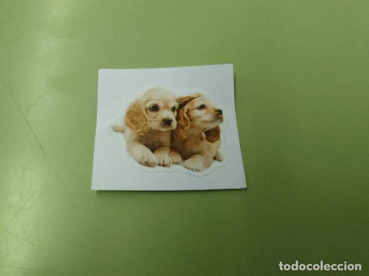 Coleccionismo cromos antiguos: PEGATINA DE ANIMALES: DOS PERROS - Foto 1
