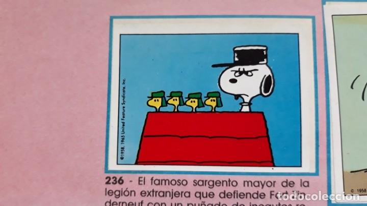 Coleccionismo cromos antiguos: I LOVE SNOOPY PANINI N 236 - Foto 1