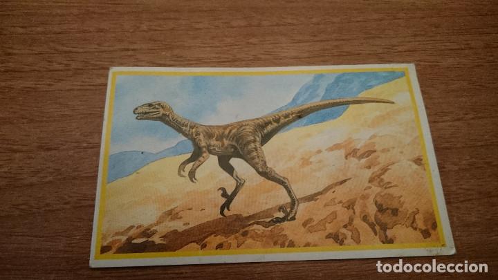 Coleccionismo cromos antiguos: CROMO DINOSAURIOS N&ordm; 18 COME SAURIOS - Foto 1