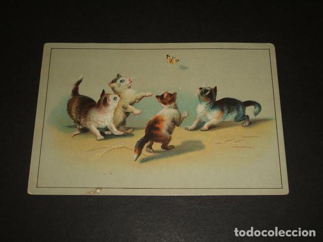 Colecionismo Cromos antigos: GATOS CON MARIPOSA CROMO SIGLO XIX