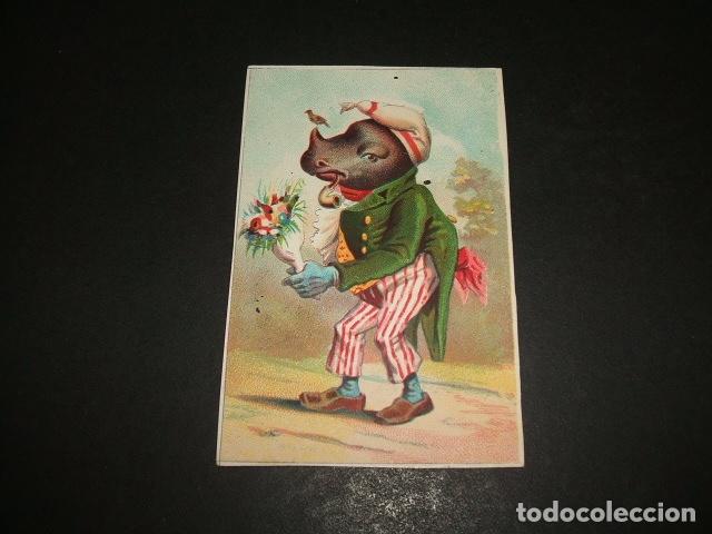 Colecionismo Cromos antigos: RINOCERONTE CON FLORES CROMO SIGLO XIX