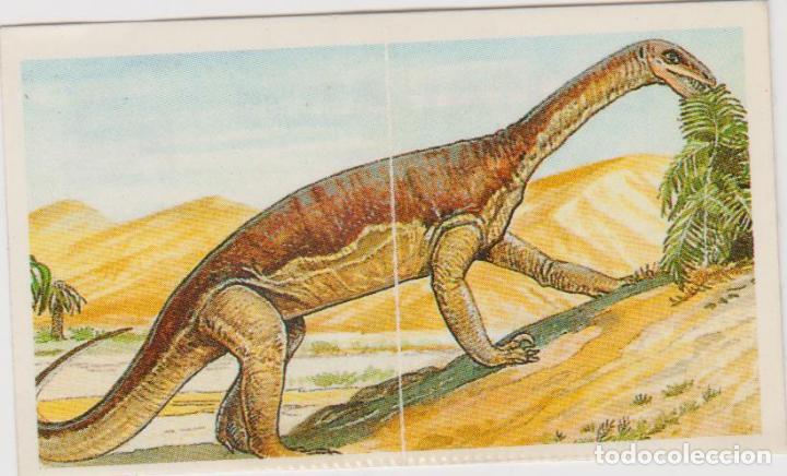 Coleccionismo cromos antiguos: risi -- DINOSAURIOS N&ordm; 56 - Foto 1