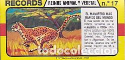 Coleccionismo Cromos antiguos: CROMO BIMBO COLECCION RECORDS N&ordm; 17