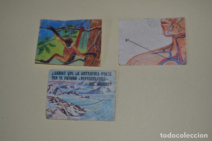 Coleccionismo cromos antiguos: CROMOS DEL PORQUE DE LAS COSAS DE BIMBO