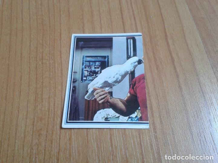 Coleccionismo cromos antiguos: TELESTARS - n&ordm; 35 - Robert Blake - Baretta - Ediciones Este - 1978 - Nunca Pegado - Foto 1