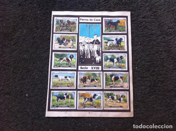 Sammeln alte Sammelbilder: HOJA CON CROMOS DEL &Aacute;LBUM DE NESTL&Eacute; (A&Ntilde;OS 30) PERROS DE CAZA - PUENTES. 24 CROMOS