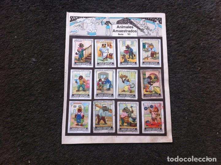 Sammeln alte Sammelbilder: HOJA CON CROMOS DEL &Aacute;LBUM DE NESTL&Eacute; (A&Ntilde;OS 30) ANIMALES AMAESTRADOS. 12 CROMOS