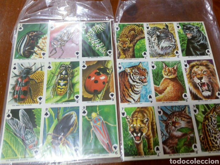 Coleccionismo cromos antiguos: Maga- l&aacute;minas 9 cromos, visi&oacute;n naturaleza