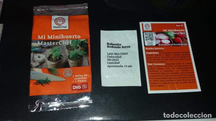 Coleccionismo Cromos antiguos: Sobre de Semillas RABANITO MASTERCHEF MASTER CHEF sin punto supermercado tienda DIA mi minihuerto