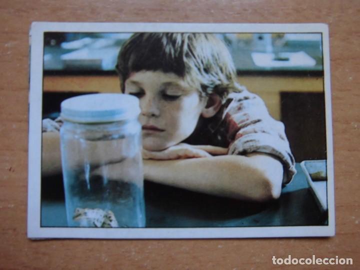 Coleccionismo cromos antiguos: Cromo n&ordm; 31 E.T. el extraterrestre (1982) Ediciones Este Despegado - Foto 1