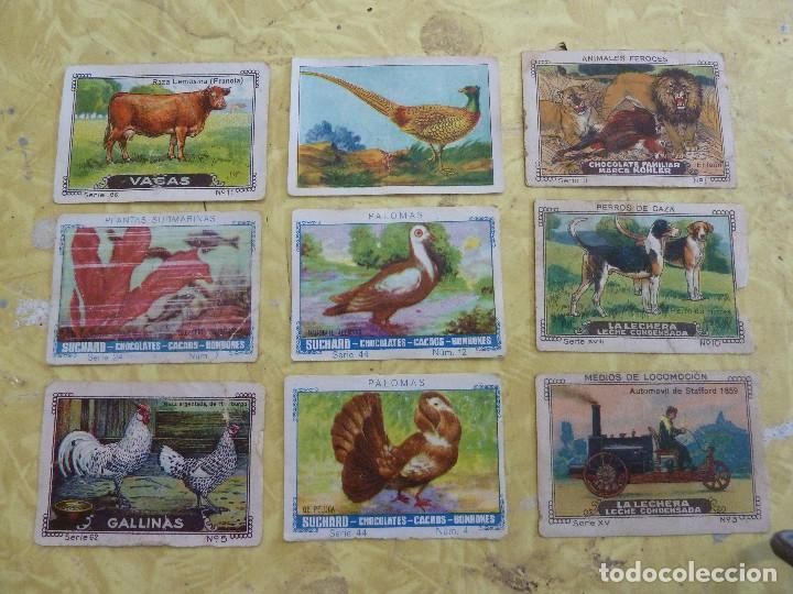 Coleccionismo cromos antiguos: LOTE DE 119 CROMOS DE CHOCOLATES SUCHARD - Foto 10