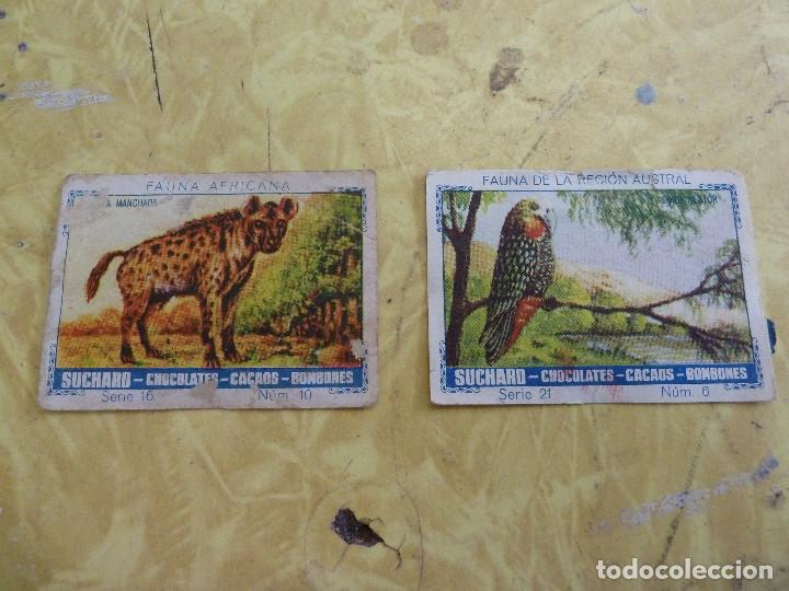 Coleccionismo cromos antiguos: LOTE DE 119 CROMOS DE CHOCOLATES SUCHARD - Foto 25