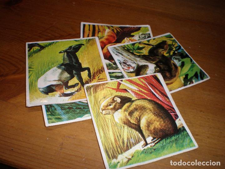 Coleccionismo Cromos antiguos: LOTE 5 ADHESIVOS,A&Ntilde;OS 70