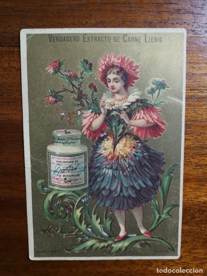 Collezionismo Figurine antiche: CROMO LIEBIG EN ESPA&Ntilde;OL / CASTELLANO - Muy raro - Buen estado