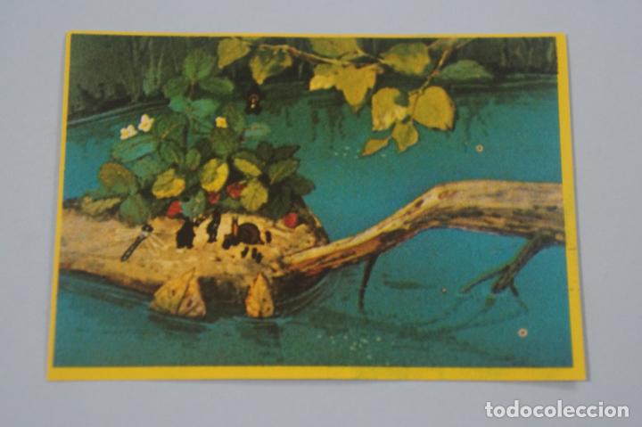 Collectable Antique Stickers: CROMO DE LA ABEJA MAYA SIN PEGAR N&ordm; 87 A&Ntilde;O 1977 DEL ALBUM LA ABEJA MAYA DE DANONE