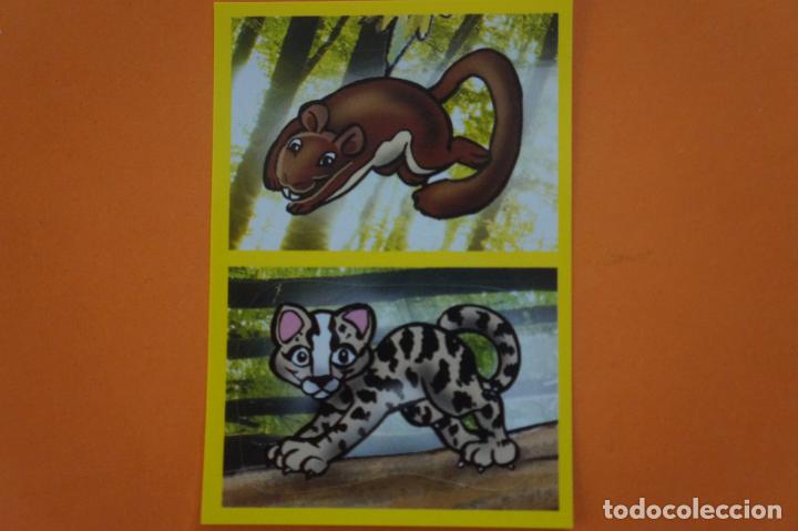 Coleccionismo Cromos antiguos: CROMO DE ANIMALITOS CUCCIOLOTTI SIN PEGAR N&ordm; 42a 42b A&Ntilde;O 2017 DEL ALBUM ANIMALITOS... DE PANINI