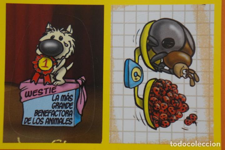 Coleccionismo Cromos antiguos: CROMO DE ANIMALITOS CUCCIOLOTTI SIN PEGAR N&ordm; 110a 110b A&Ntilde;O 2017 DEL ALBUM ANIMALITOS... DE PANINI