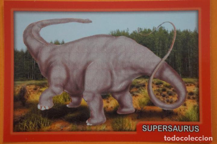 Colecionismo Cromos antigos: CROMO DE ANIMALITOS CUCCIOLOTTI SIN PEGAR N&ordm; 134 A&Ntilde;O 2017 DEL ALBUM ANIMALITOS... DE PANINI