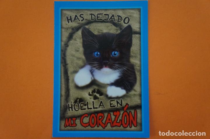 Coleccionismo Cromos antiguos: CROMO DE ANIMALITOS CUCCIOLOTTI SIN PEGAR N&ordm; 148 A&Ntilde;O 2017 DEL ALBUM ANIMALITOS... DE PANINI