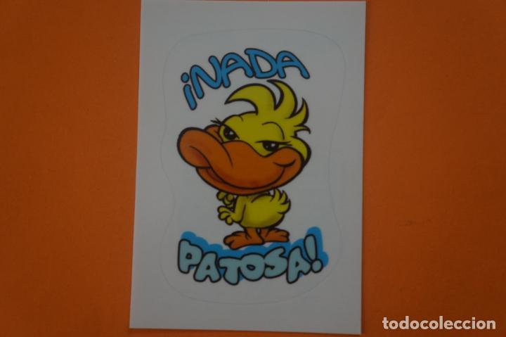 Coleccionismo Cromos antiguos: CROMO DE ANIMALITOS CUCCIOLOTTI SIN PEGAR N&ordm; 164 A&Ntilde;O 2017 DEL ALBUM ANIMALITOS... DE PANINI