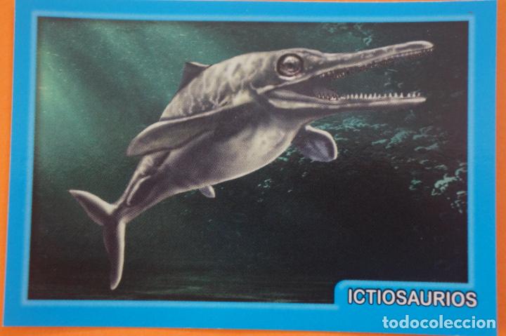 Coleccionismo Cromos antiguos: CROMO DE ANIMALITOS CUCCIOLOTTI SIN PEGAR N&ordm; 240 A&Ntilde;O 2017 DEL ALBUM ANIMALITOS... DE PANINI