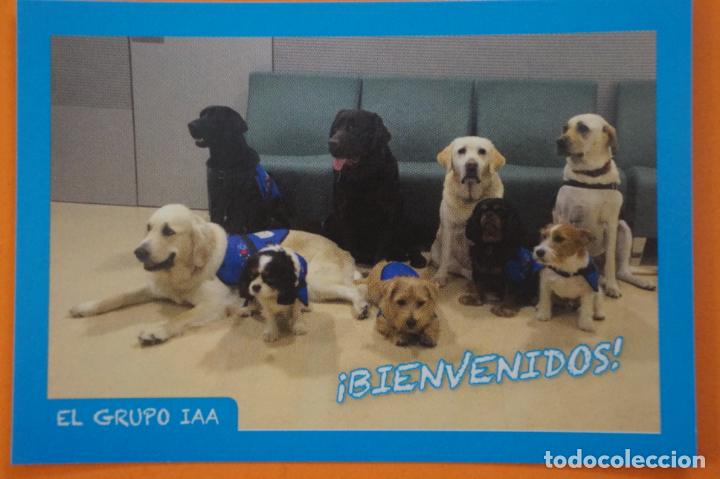 Coleccionismo Cromos antiguos: CROMO DE ANIMALITOS CUCCIOLOTTI SIN PEGAR N&ordm; 290 A&Ntilde;O 2017 DEL ALBUM ANIMALITOS... DE PANINI