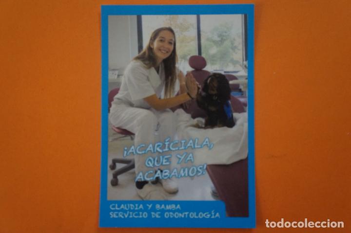 Colecionismo Cromos antigos: CROMO DE ANIMALITOS CUCCIOLOTTI SIN PEGAR N&ordm; 293 A&Ntilde;O 2017 DEL ALBUM ANIMALITOS... DE PANINI