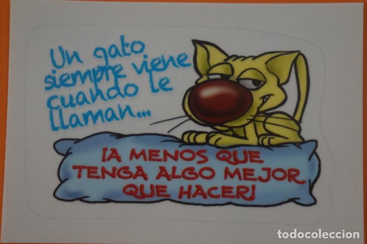 Coleccionismo Cromos antiguos: CROMO DE ANIMALITOS CUCCIOLOTTI SIN PEGAR N&ordm; 305 A&Ntilde;O 2017 DEL ALBUM ANIMALITOS... DE PANINI