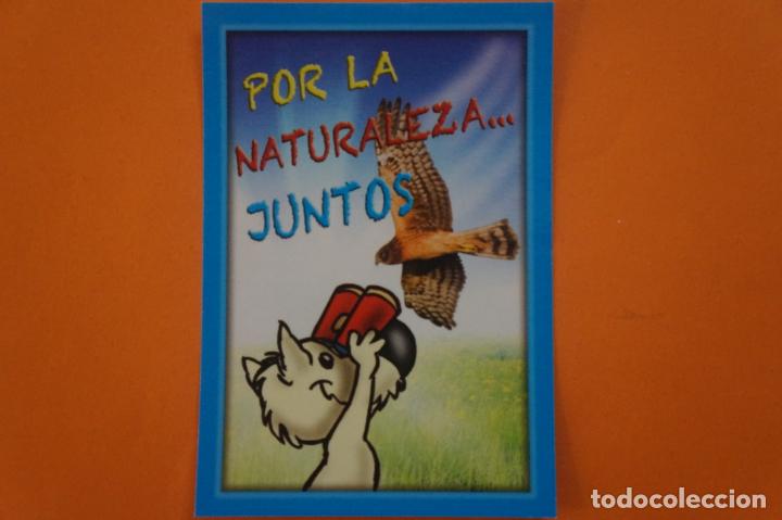 Coleccionismo Cromos antiguos: CROMO DE ANIMALITOS CUCCIOLOTTI SIN PEGAR N&ordm; 311 A&Ntilde;O 2017 DEL ALBUM ANIMALITOS... DE PANINI