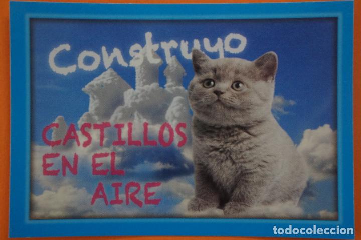 Coleccionismo Cromos antiguos: CROMO DE ANIMALITOS CUCCIOLOTTI SIN PEGAR N&ordm; 372 A&Ntilde;O 2017 DEL ALBUM ANIMALITOS... DE PANINI