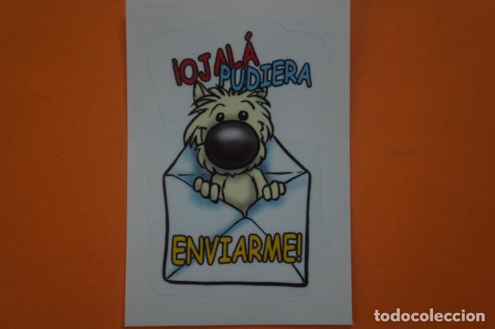 Coleccionismo Cromos antiguos: CROMO DE ANIMALITOS CUCCIOLOTTI SIN PEGAR N&ordm; 388 A&Ntilde;O 2017 DEL ALBUM ANIMALITOS... DE PANINI