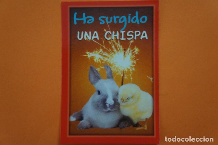 Coleccionismo Cromos antiguos: CROMO DE ANIMALITOS CUCCIOLOTTI SIN PEGAR N&ordm; 480 A&Ntilde;O 2017 DEL ALBUM ANIMALITOS CUCCIOLOTTI DE PANINI